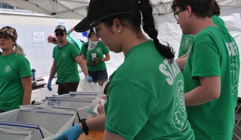 waste sorting staff green events services calgary