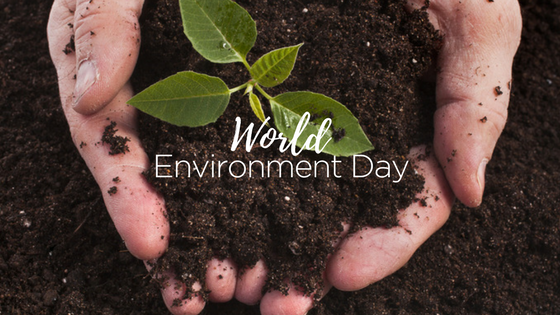 World Environment Day